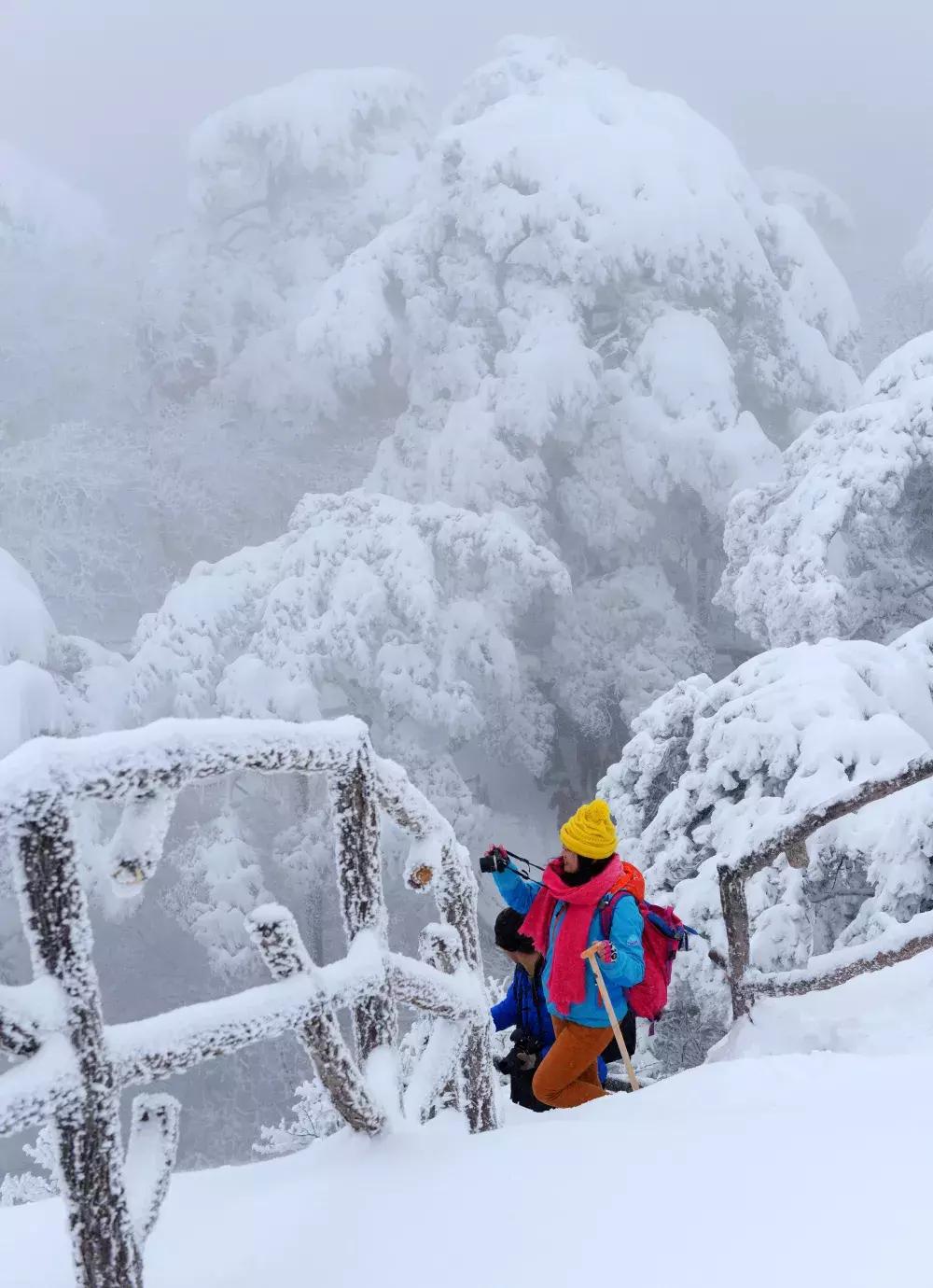 元旦去黄山旅游看雪景,元旦去云雾山跨年