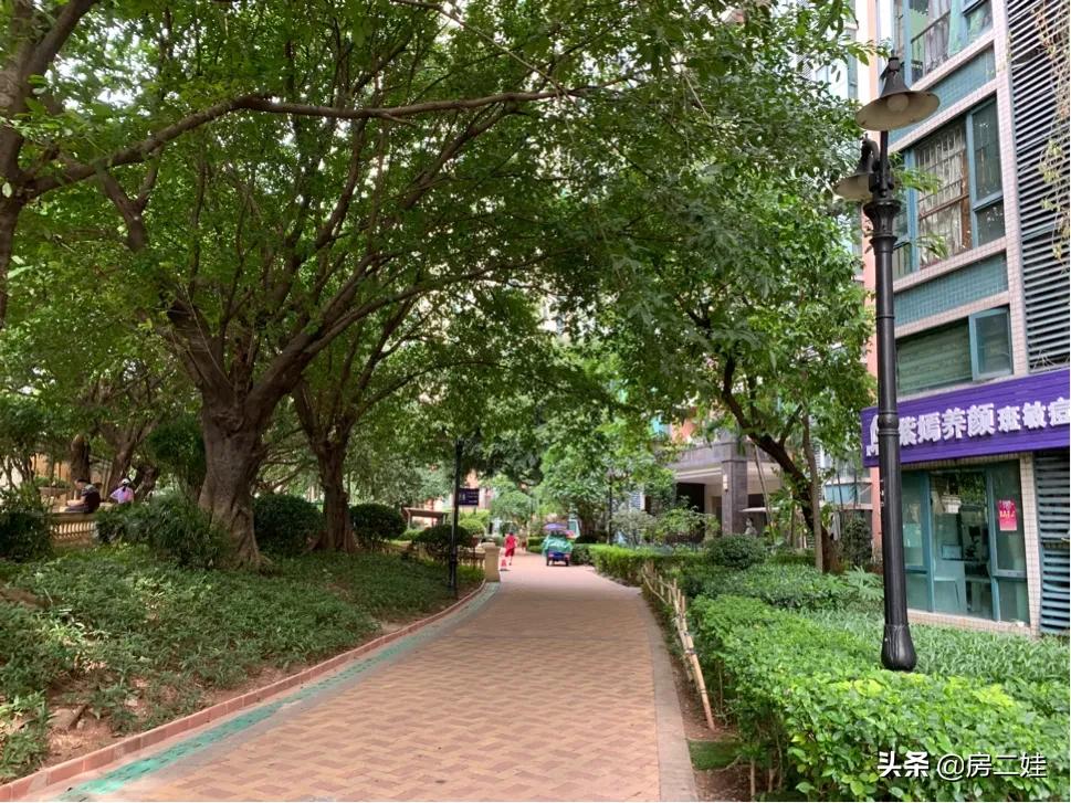 金碧世纪花园二手房多少钱一平,金碧世纪花园解析