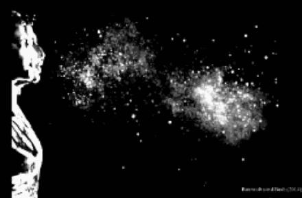 科学除螨,除螨用什么最好