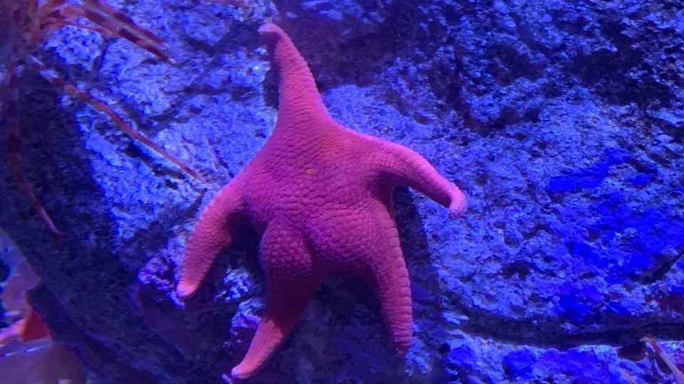 北京新机场最新工程,北京建设新机场