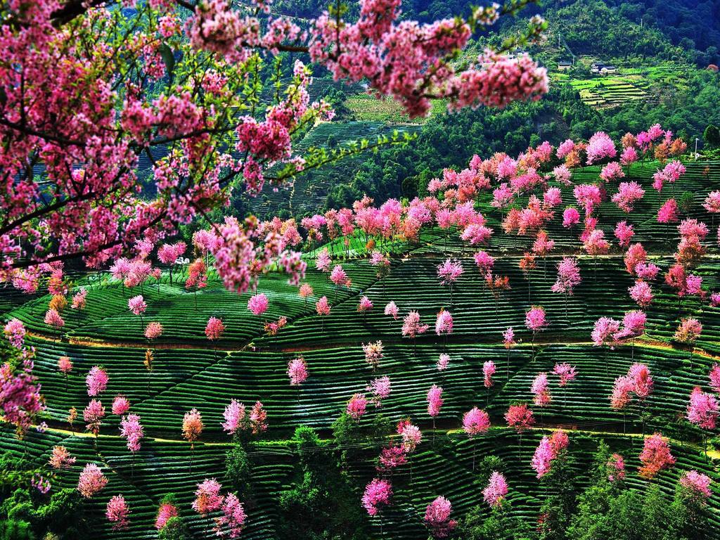 11月这个季节适合去哪里旅游最好,惬意的秋天最适合去旅行