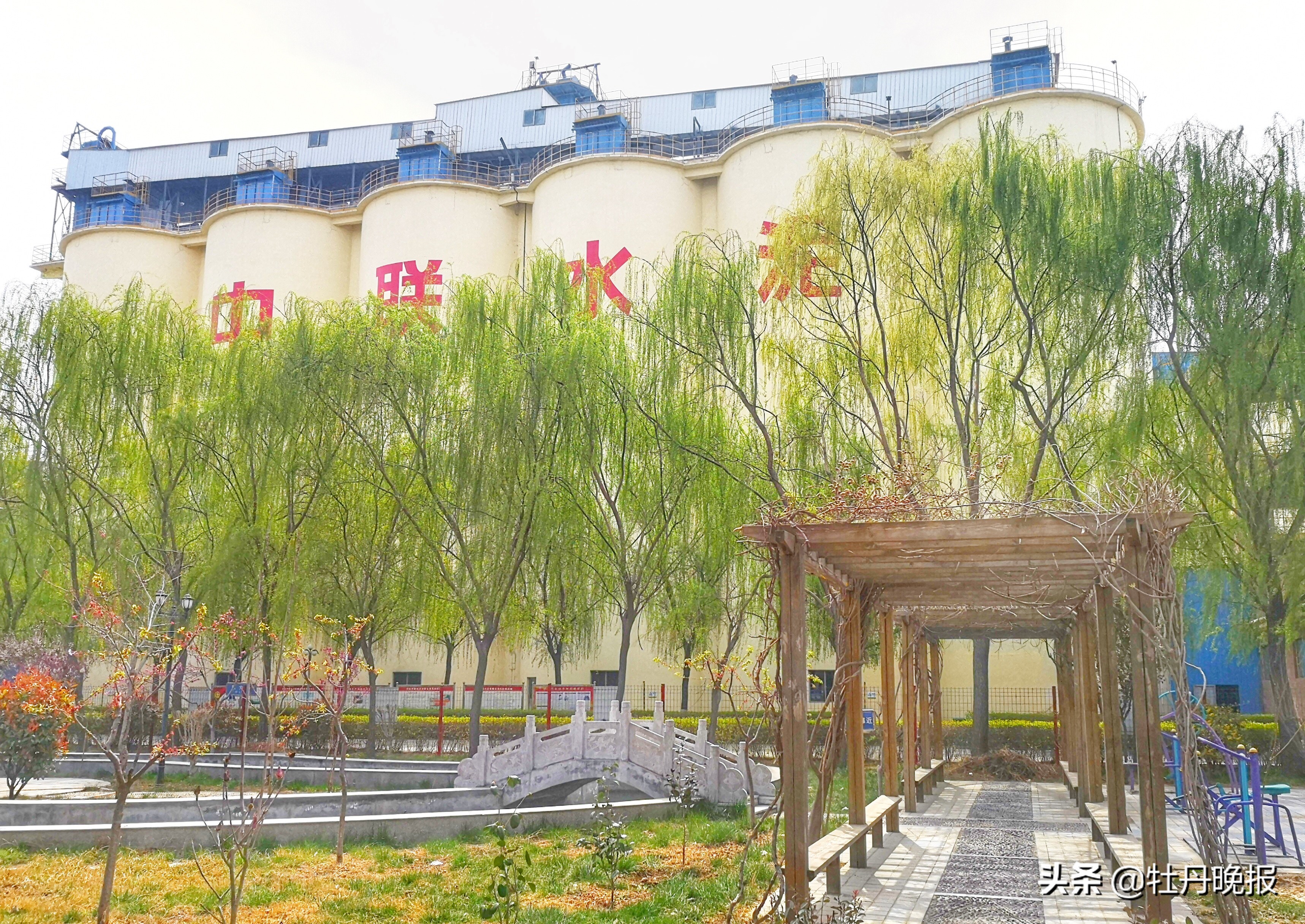 菏泽中联水泥有限公司地址,砥砺深耕创佳绩凝心聚力再出发