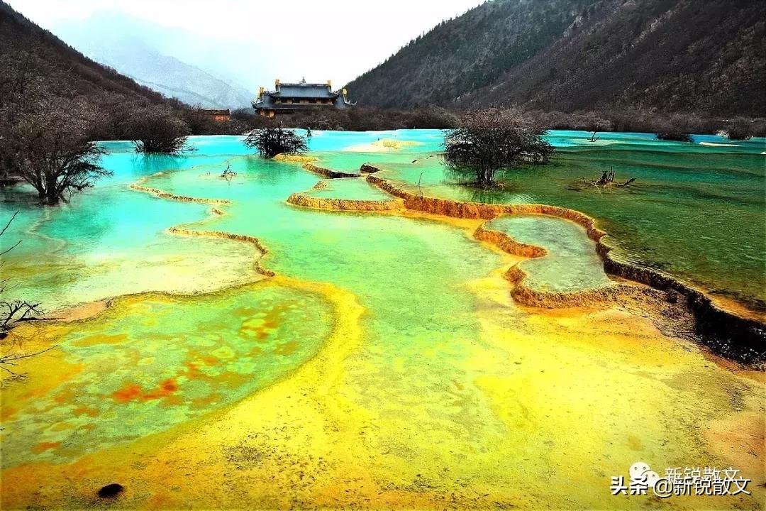 九寨黄龙避坑指南,九寨黄龙风景区旅游攻略