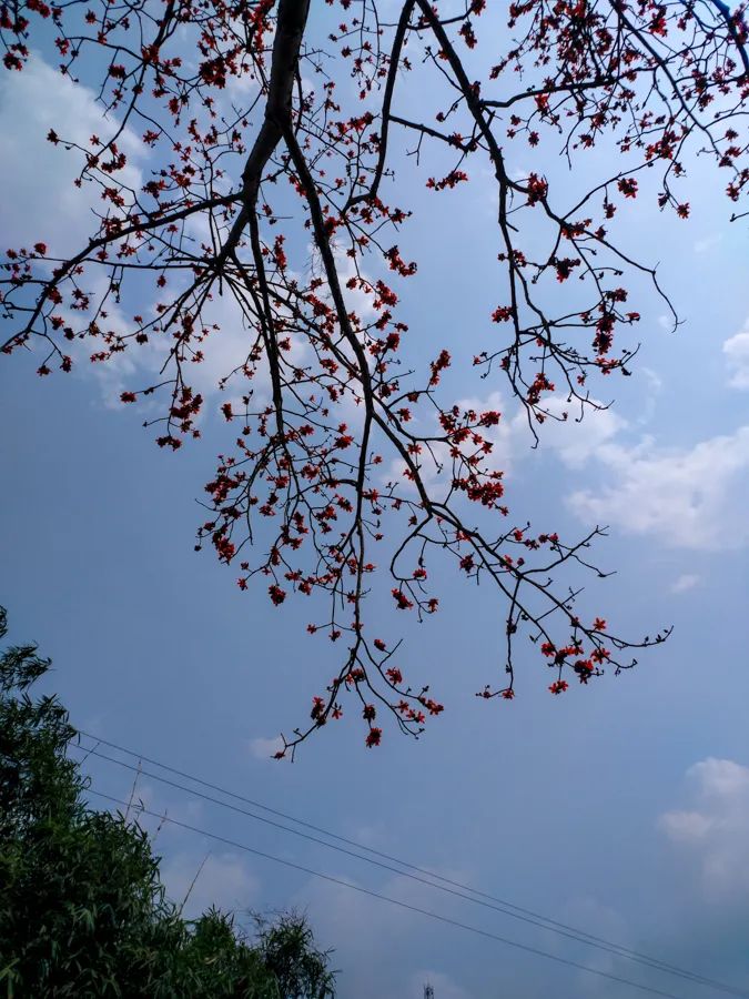 旅行是为了感受不一样的人生百态,旅行最好的状态就是不问归期