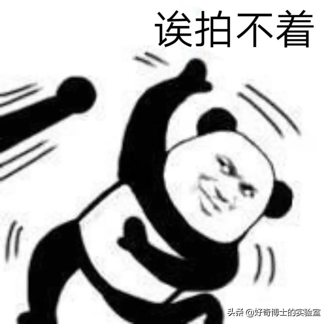 淦！微信新出的「拍一拍」是什么沙雕功能？