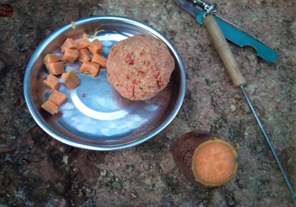 副竿钓鱼用什么饵最好,野钓用饵口诀记住必爆护