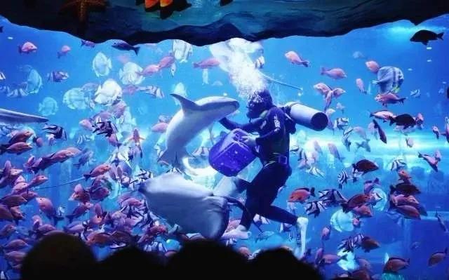 西安圣诞节礼物在哪买,西安圣诞节礼包免费领取