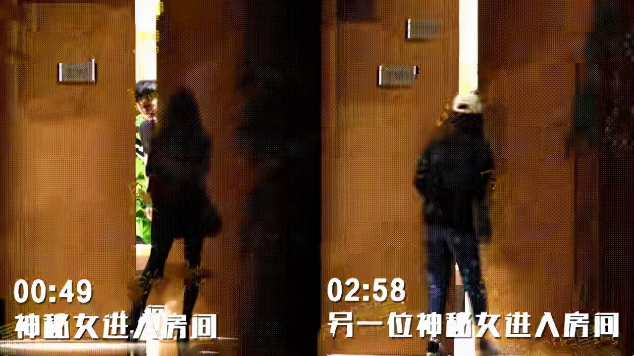 陈思诚情史大揭秘,风流才子陈思诚的上位史