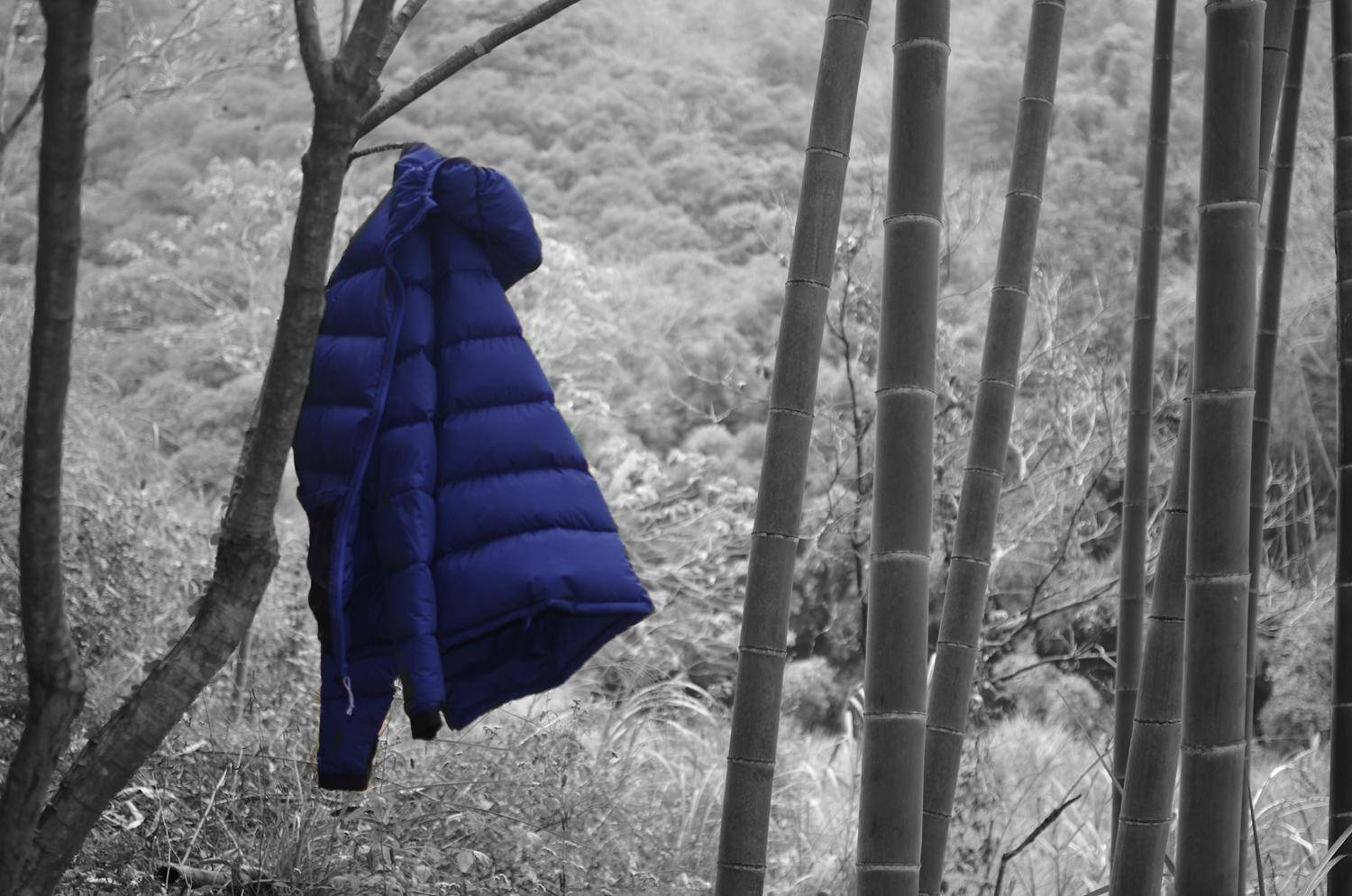 gearlab高蓬羽绒,性价比最高鹅绒羽绒服