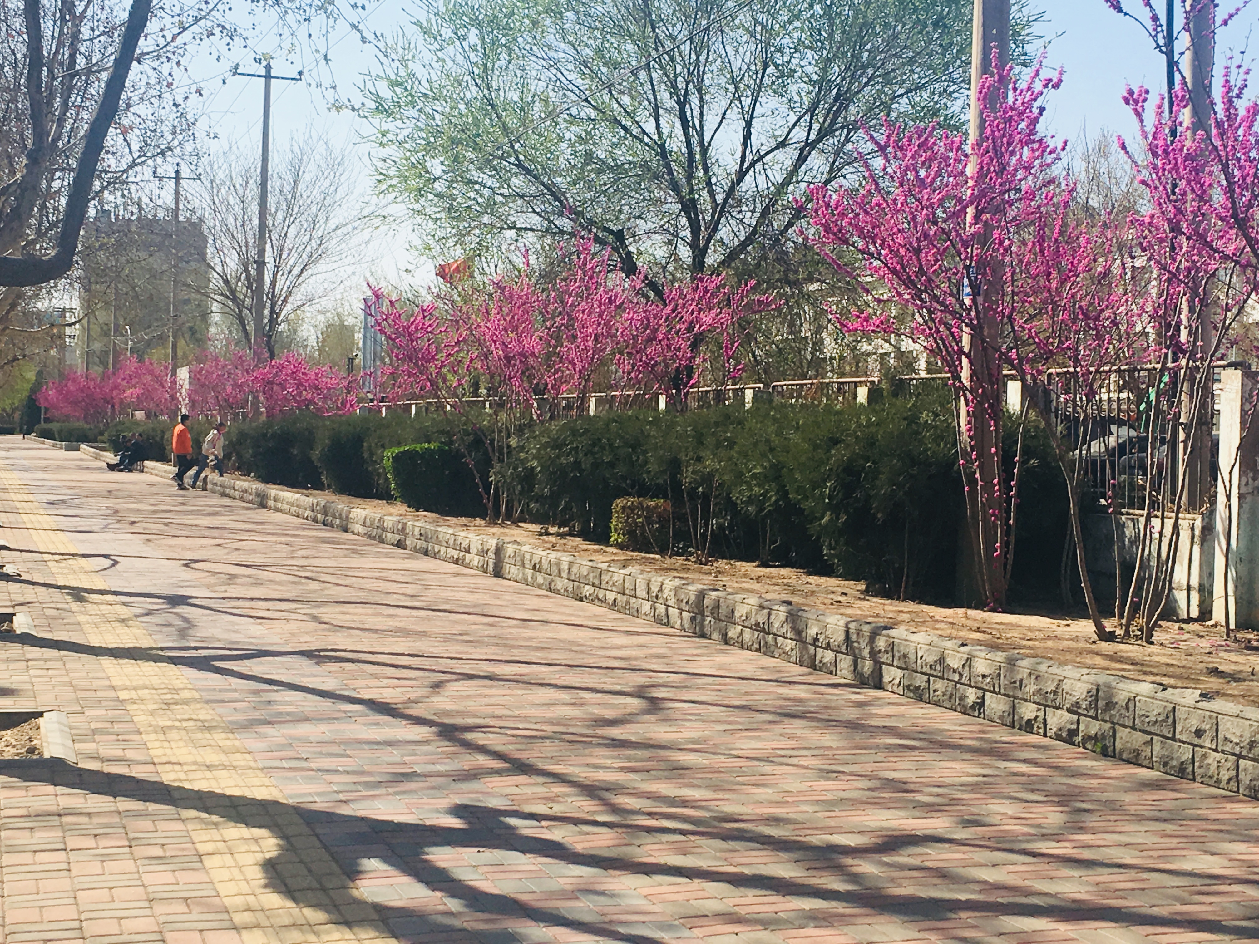 石家庄全程宜居,石家庄居住热度图