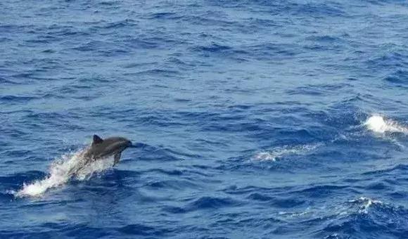 城市印象小区好不好,城市印象海安