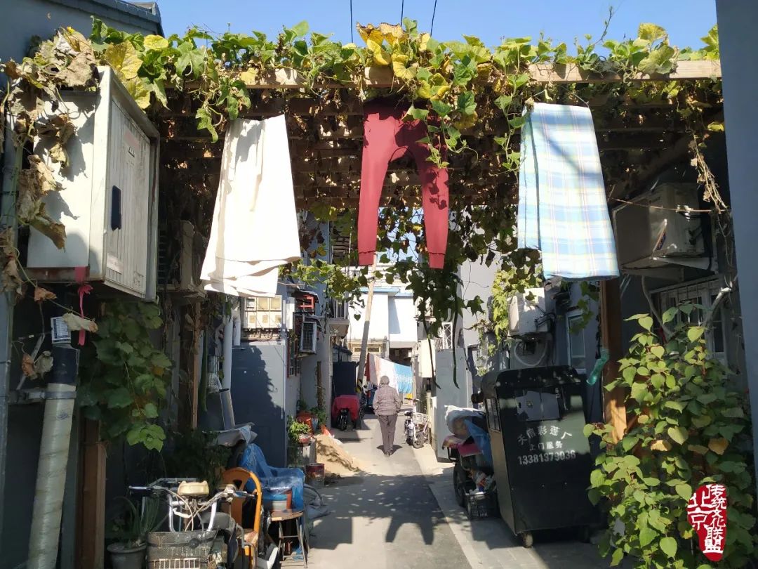 趣说北京话相声,趣说北京胡同的故事