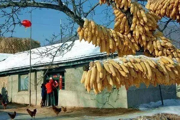 一家三口死于火灾中丈夫异常淡定,1980年一家四口吃了饺子中毒案