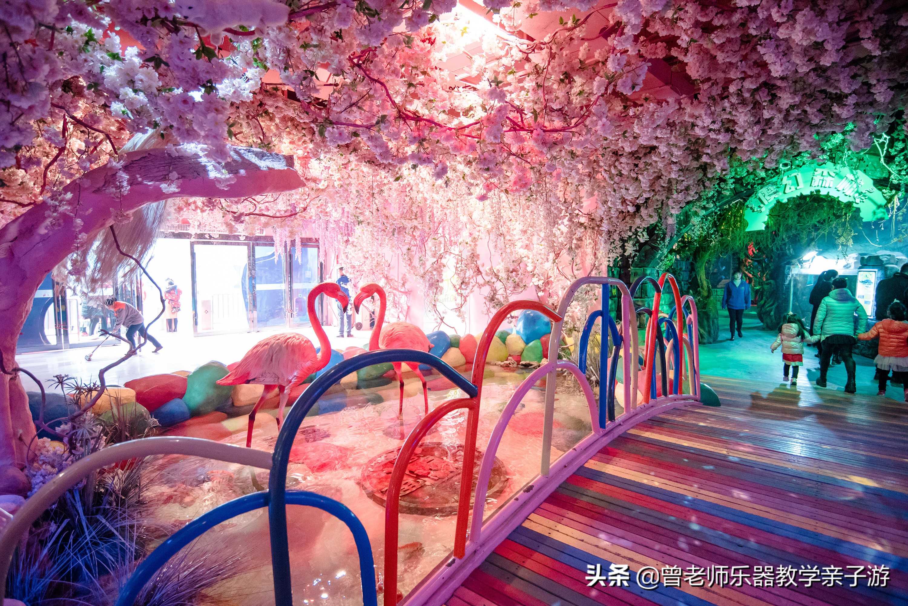 西安太奥海洋馆,西安极地海洋世界海豚表演