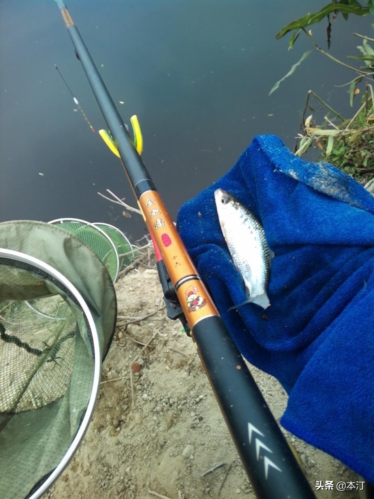 钓鱼怎么选择窝子,石窝钓鲤鱼钓法