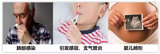 霉菌比*霜砒**毒还毒68倍?你家屋子里这些发霉的地方都清理了吗?