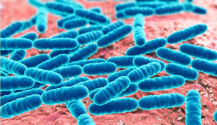 水产养殖em菌的正确使用方法,水产养殖em菌与乳酸菌有什么区别