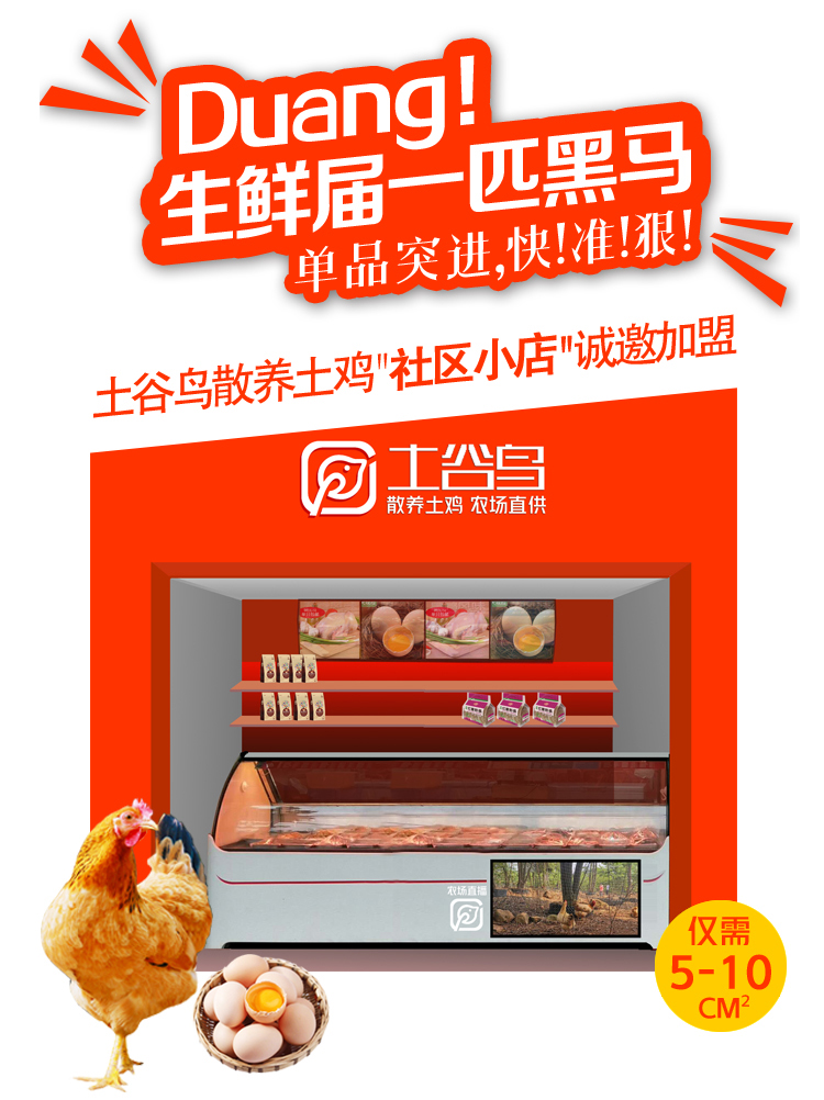 生鲜散养土鸡,乡村原生态土猪土鸡土鸭生鲜店