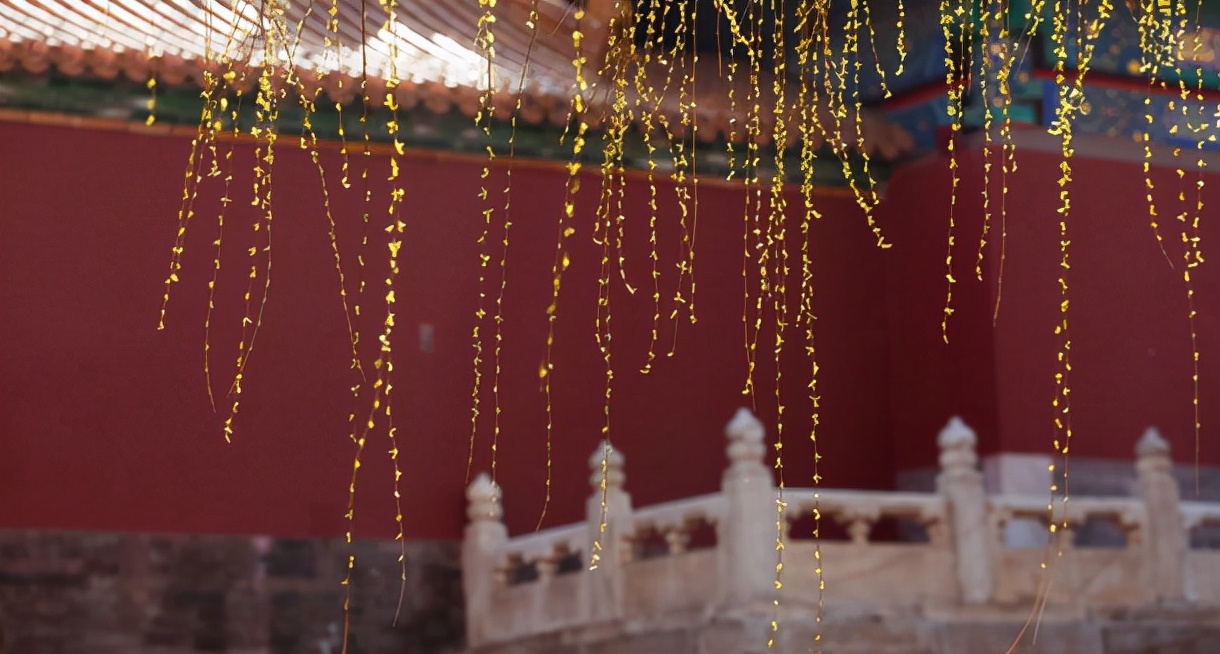 带珂的三字名字,带珂字的男孩名字