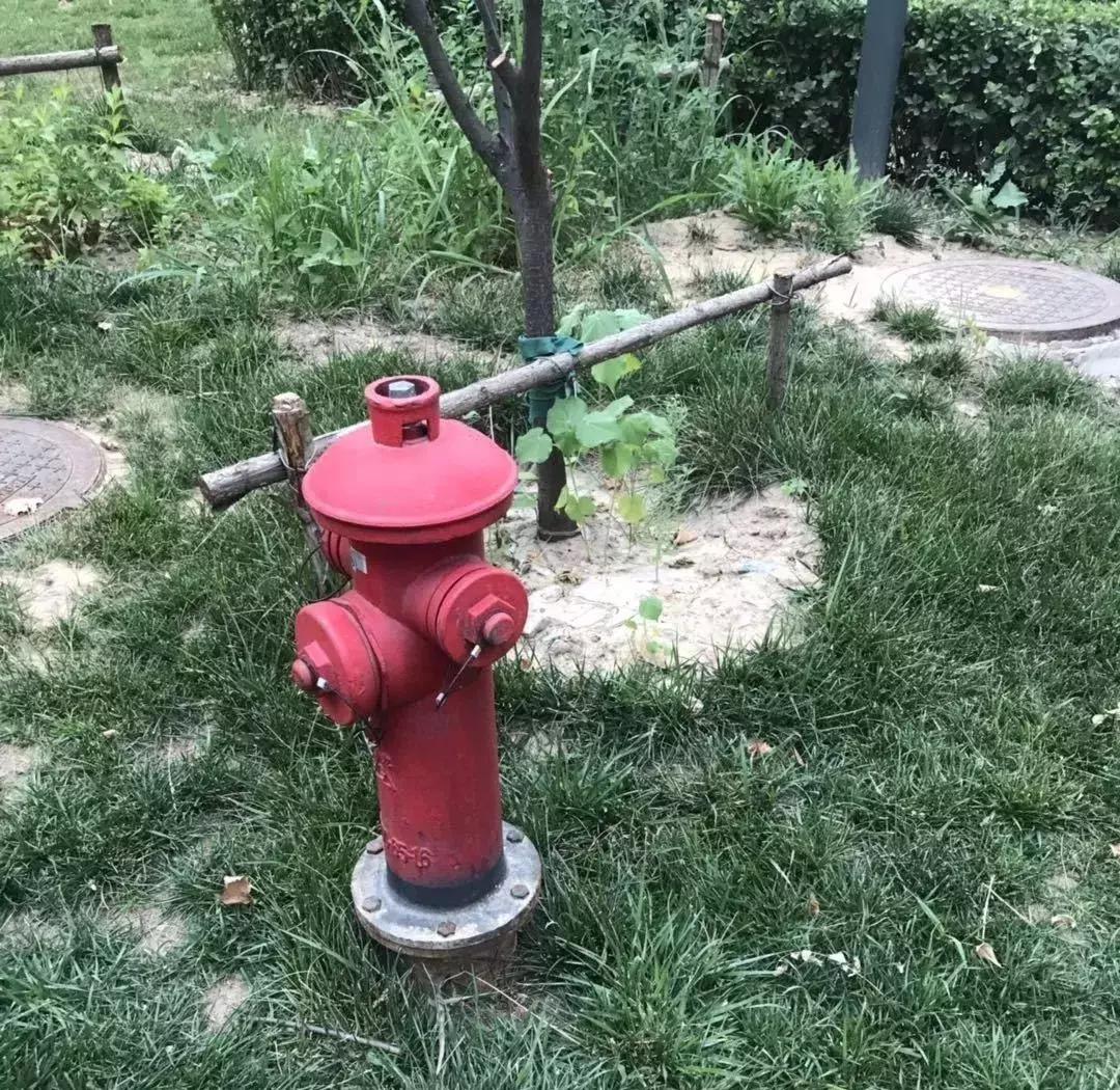 武清小区排行最新,武清荒废小区