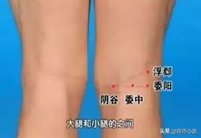 神奇的人体三角区，养好了，百病难扰