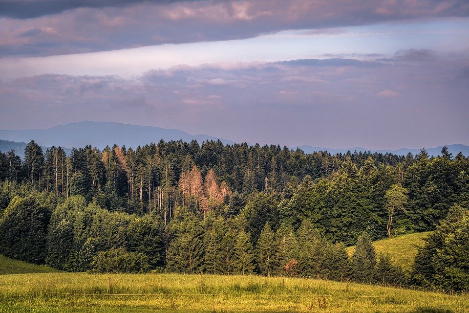 小红书软文推广,软文推广的优势是什么