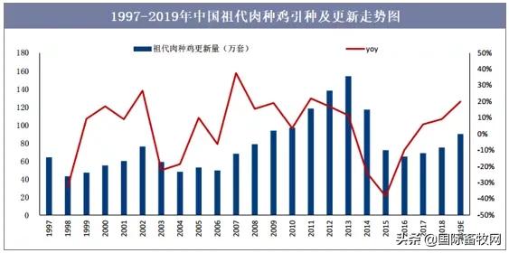 中国养殖5亿只鸡,中国蛋鸡百万以上的养殖基地