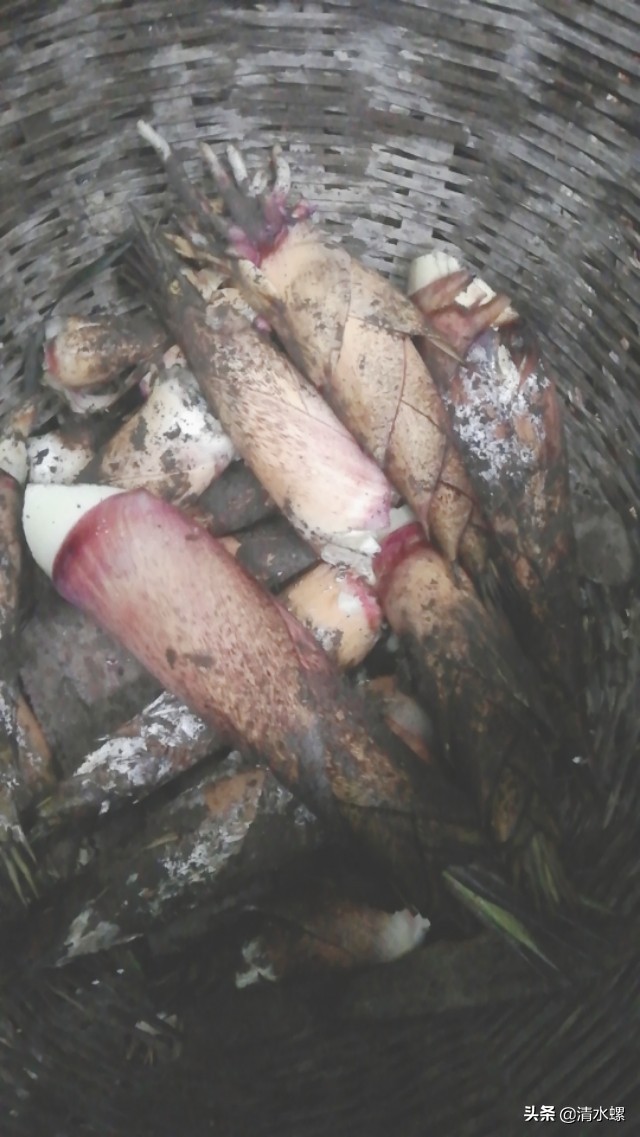 春日美食家正宗的糖蒜,春日美食家吃硬菜