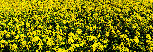 套利交易技巧和注意事项,套利交易为何要坚持7项原则