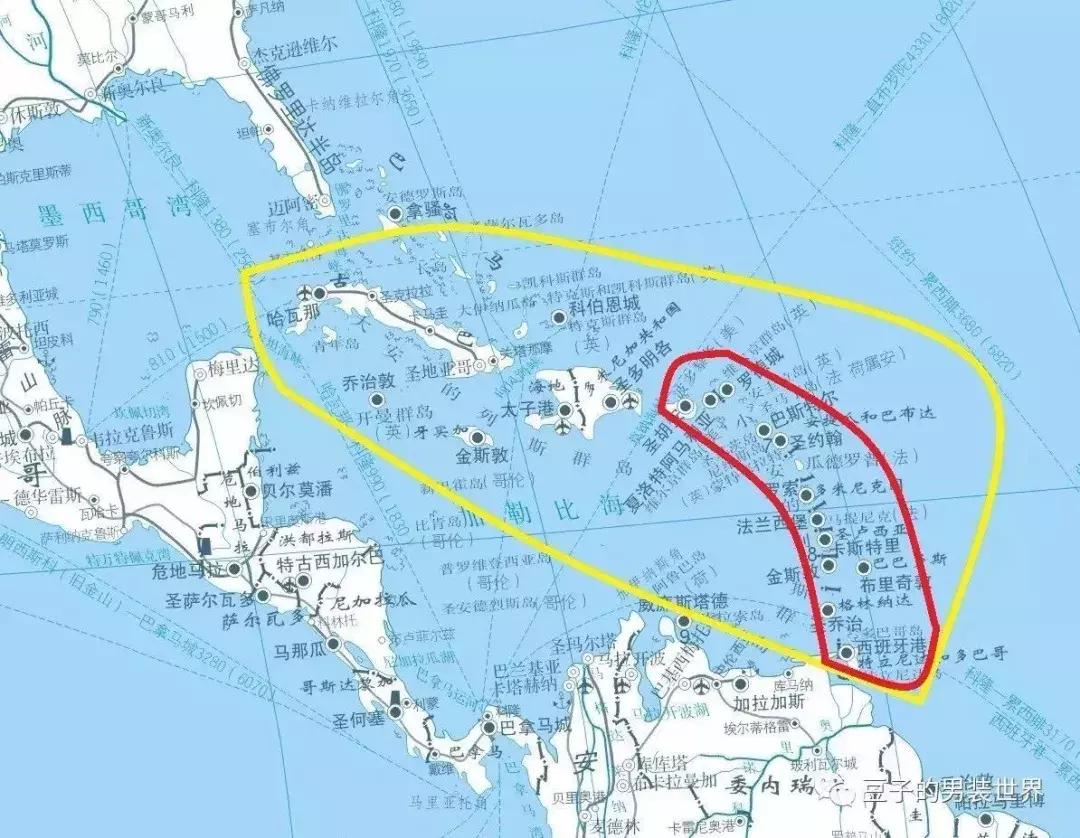 「分享」稀有物种！地球上超棒的棉花：海岛棉