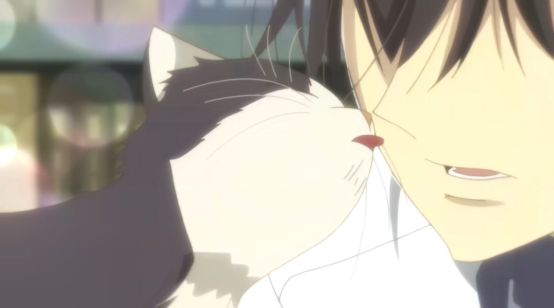 最萌新番,豆瓣8.8最佳纪录片女主