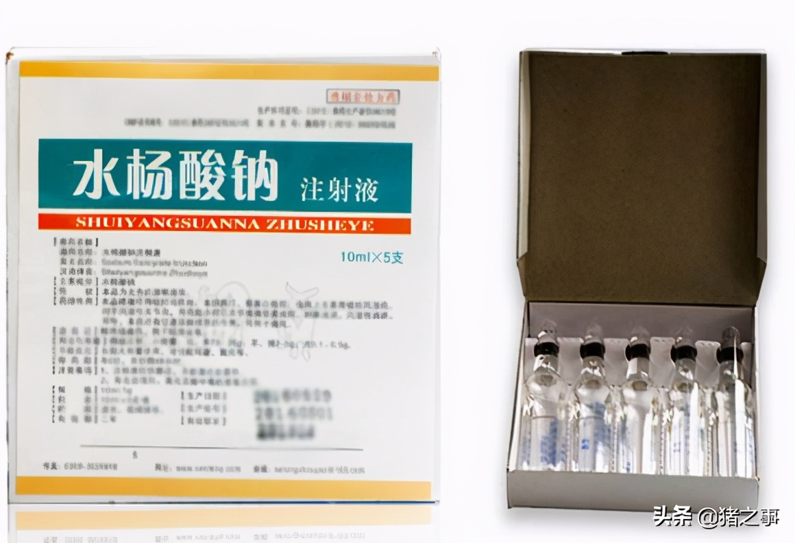 母猪想高产,怀孕管理很重要,妊娠期的用药禁忌,你都知道吗?