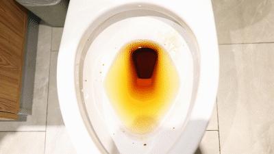 日本马桶清洁神器,日本懒人冲洗马桶