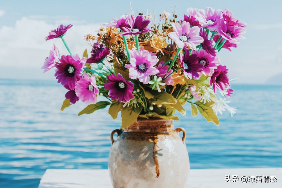 结婚后被催着生娃,刚结婚一个月婆婆催着让生孩子