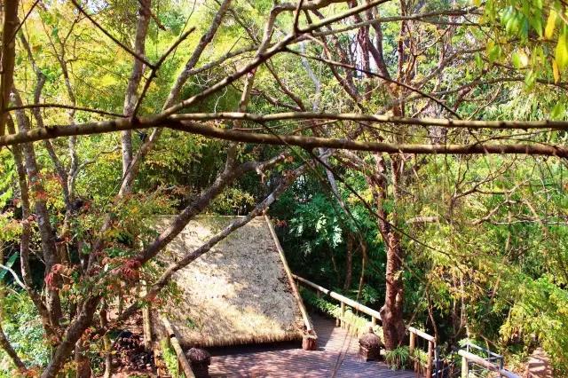 云南最美十大酒店,云南最有品质酒店