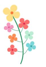 清凉一夏愉快吃瓜—印尼常见水果大全