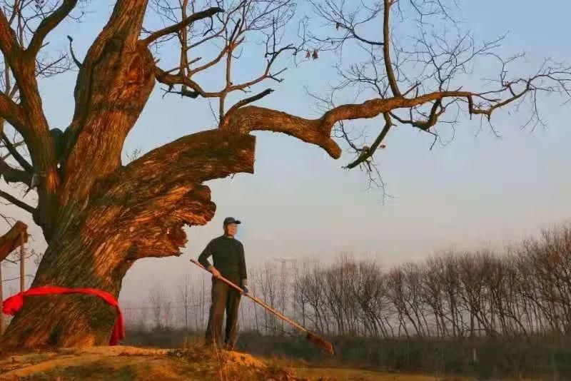 每周摄影作品全集,摄影作品展活动4k视频