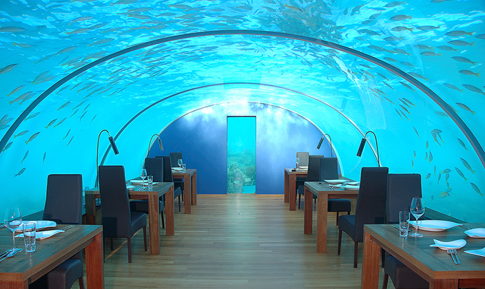 马尔代夫六星岛屿详细介绍,港丽岛马尔代夫