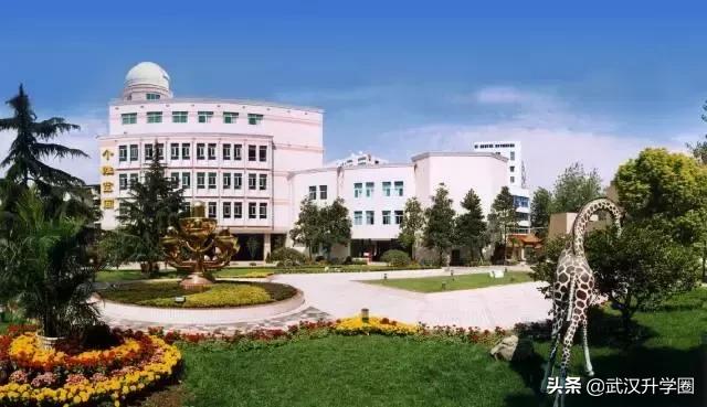 武汉十大土豪学校排名,武汉十大土豪学校