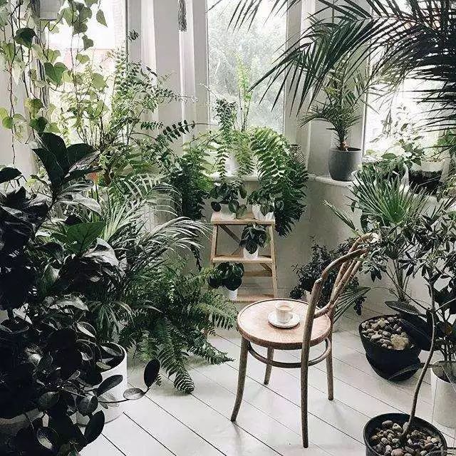 3岁孩子误食了药物属于意外吗,小孩误食绿植肥料怎么办