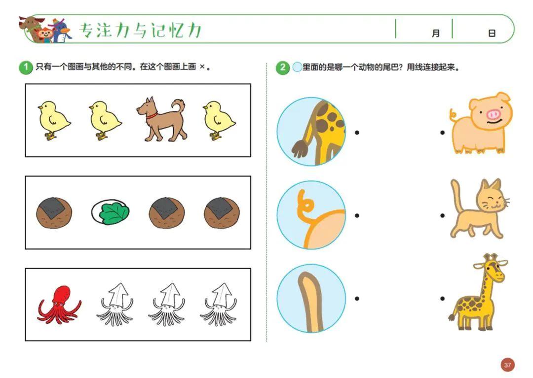 七田真全脑开发全套6册,日本正版七田真全脑课程介绍