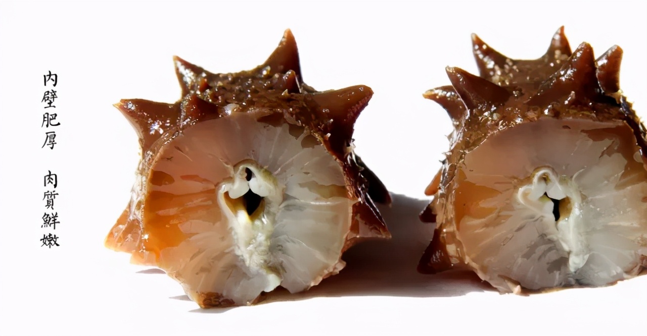 海参吃起来是什么口感的才是好的,营养丰富的食物海参口感拔尖