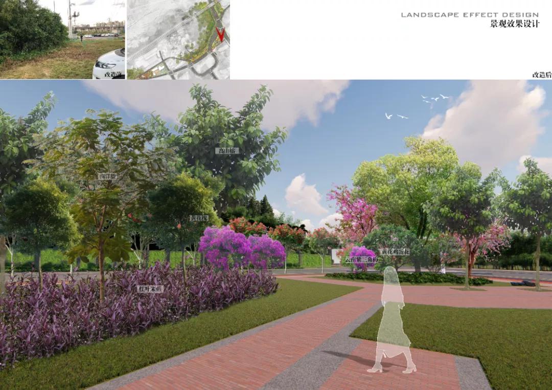 厦门最新旅游规划,厦门景区最新变化