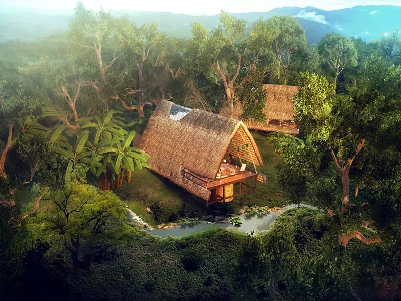 29岁不当记者，追随德国老公守护雨林，两女儿宛如天使，可不上学