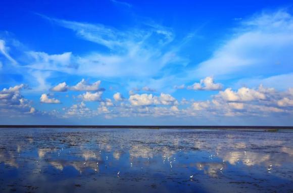 宁波杭州湾世纪城在哪个区,宁波杭州湾新区发展历程