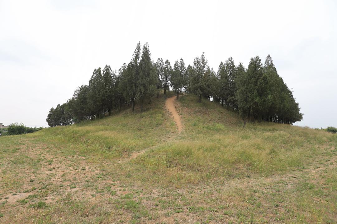 唐武宗端陵内部,唐武宗端陵考古