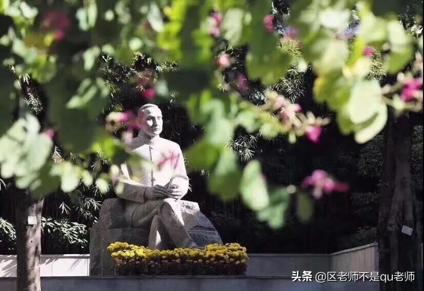 「数说高中」执信中学，名校中的性价比之王