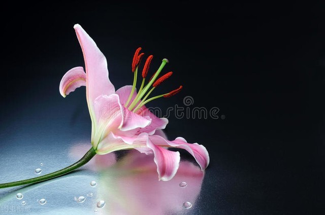 明知相思苦只因相思已入骨下一句,世人皆知相思苦只怕相思已入骨