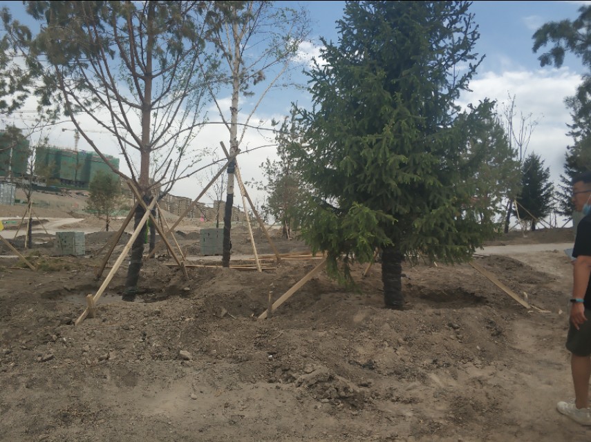 乌鲁木齐新建楼房,乌鲁木齐规划新建350米高楼