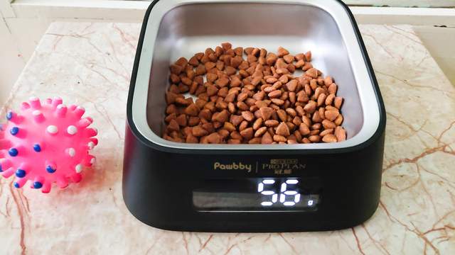 心中有数吃多少，避免主子吃撑大胖子，Pawbby智能宠物碗体验